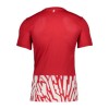Maillot de Foot SC Freiburg Domicile 2023-24
